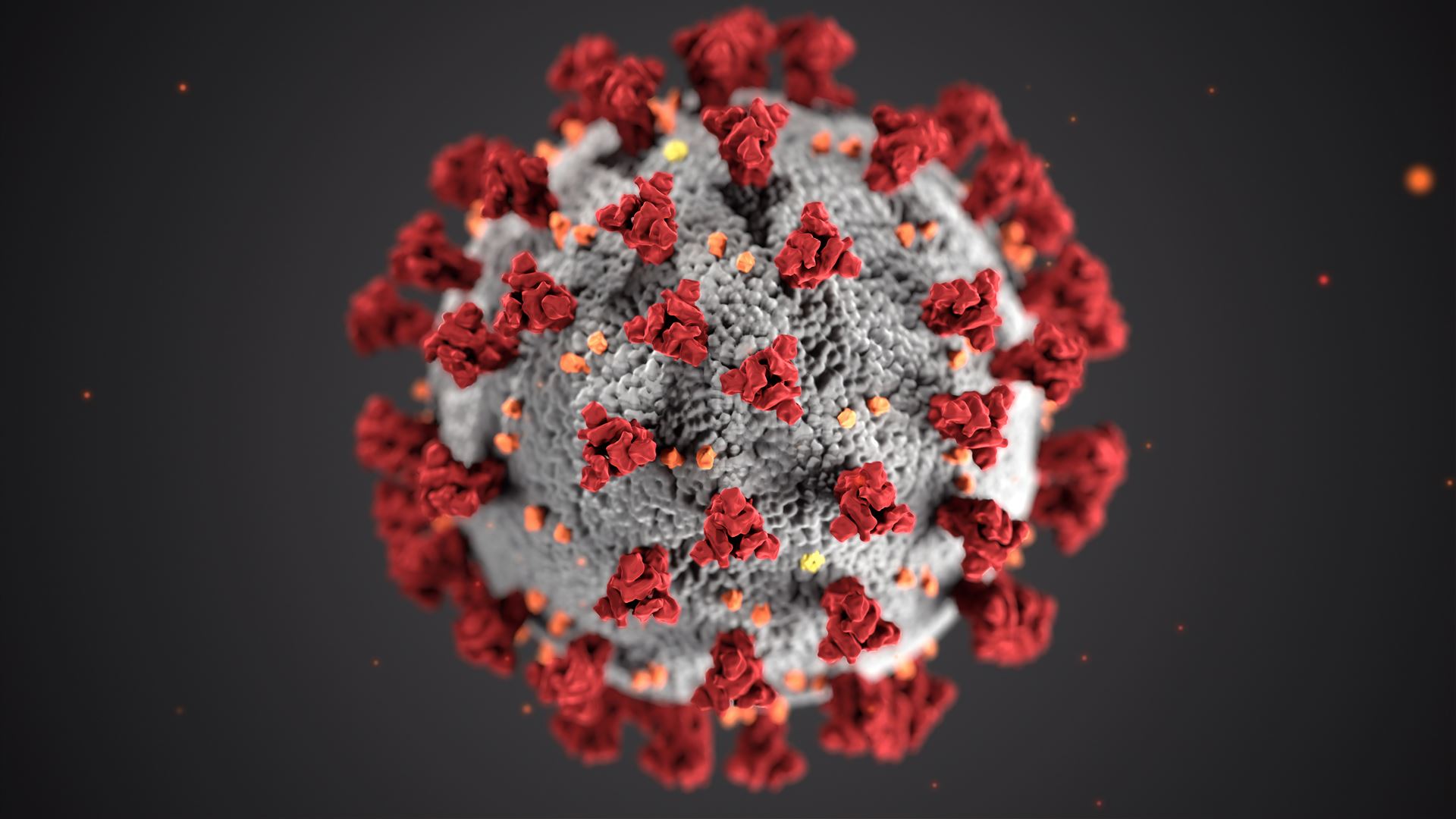 Virus 