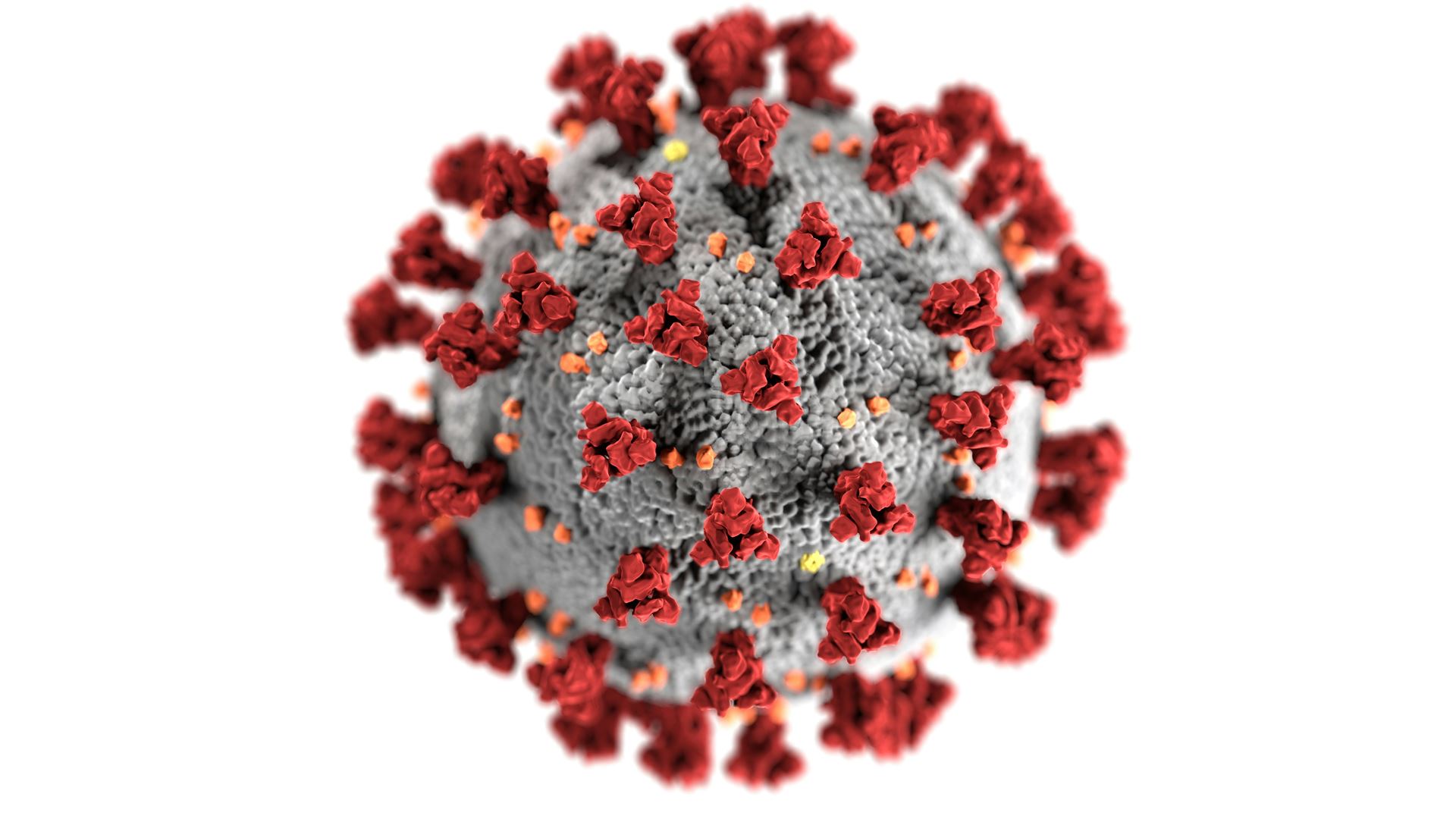 red virus
